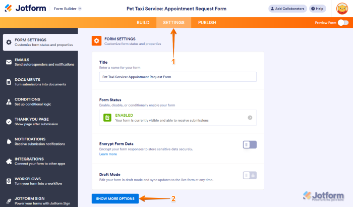 Show More Options in the Form Settings section of the Settings tab in the Jotform Form Builder