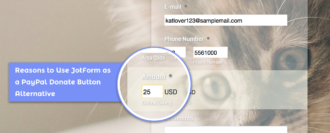 Reasons to Use Jotform as a PayPal Donate Button Alternative Reasons to Use Jotform as a PayPal Donate Button Alternative