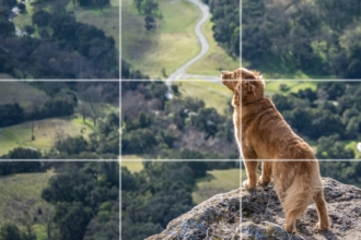 Mastering the rule of thirds in photography Mastering the rule of thirds in photography