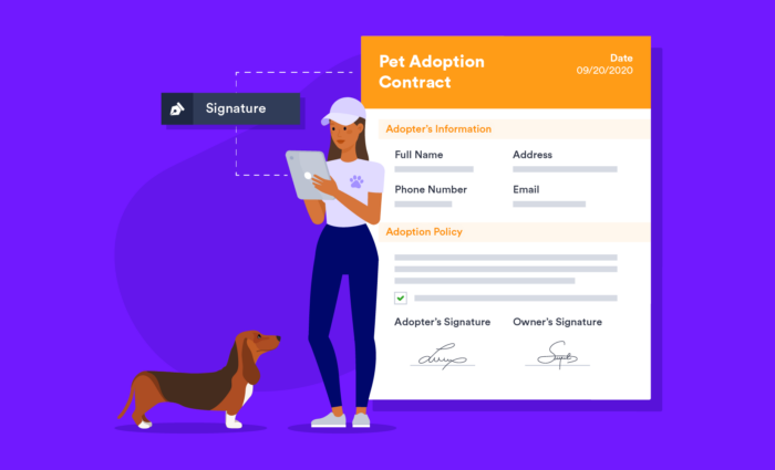 What are the elements of a contract?