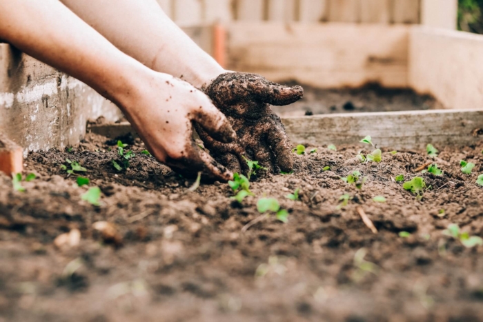 How to start a CSA