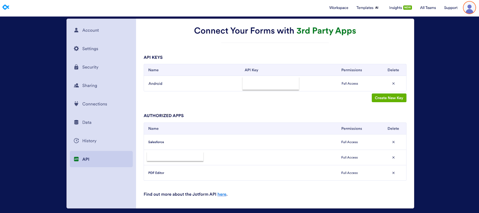 Viewing the API tab on the Account Settings