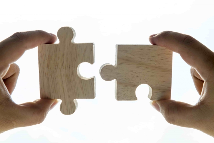 What are the lean principles?