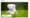 Microsoft Word Add Arrow Shape
