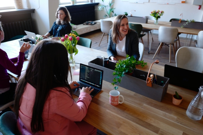 6 best WordPress plug-ins for human resources in 2026