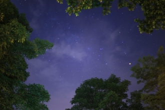 How to make money using astrology How to make money using astrology