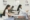 AI in education: Will AI replace teachers?
