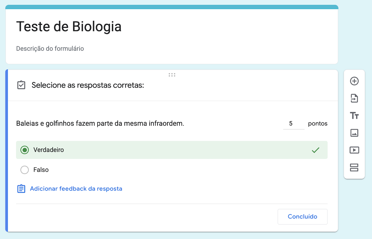 Captura de tela da criação do gabarito