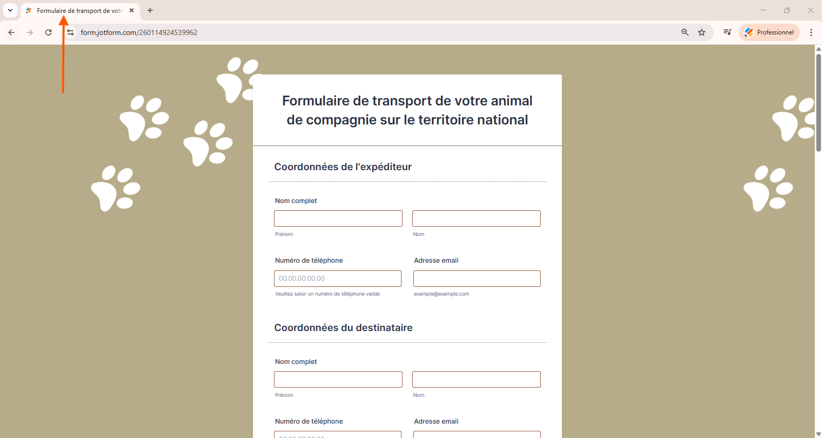Capture d'écran d'un formulaire sur une page web avec une flèche pointant vers le titre qui apparaît par défaut dans le navigateur web