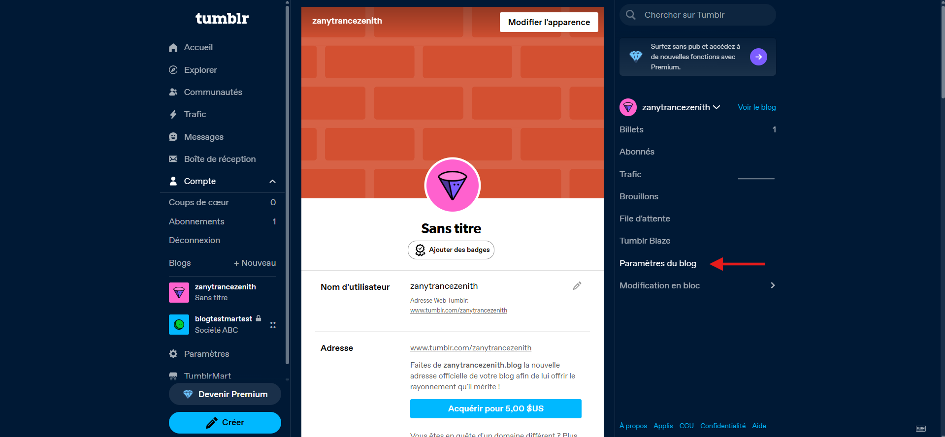 Capture d'écran des paramètres du blog avec une flèche vers Paramètres du blog dans l'interface Tumblr