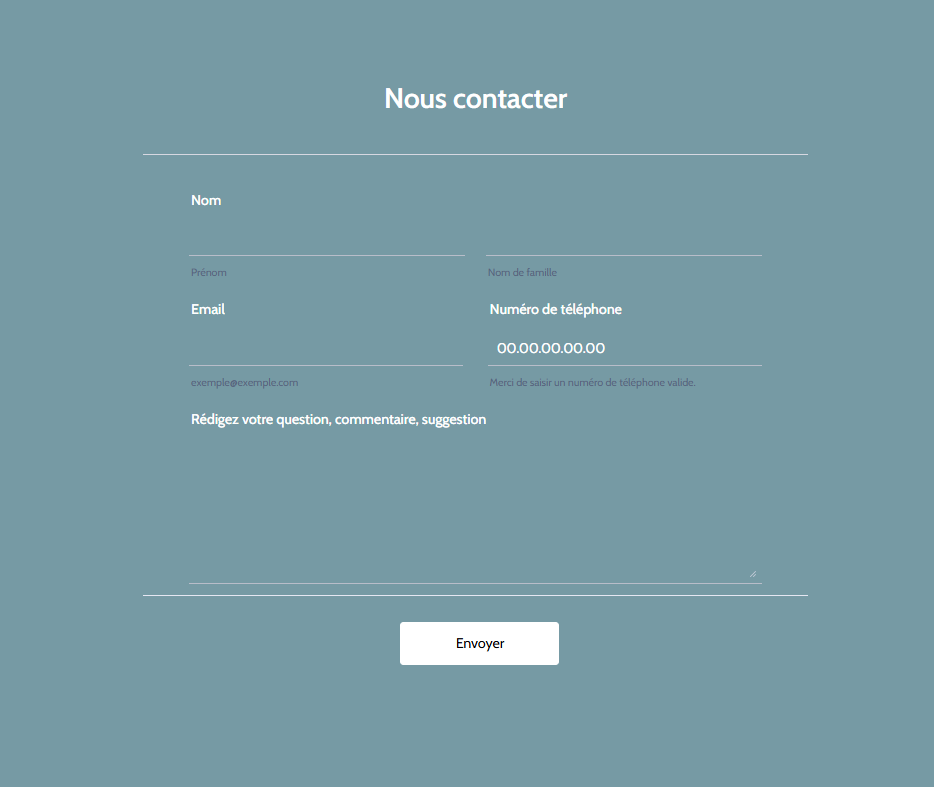 Capture d'écran du même formulaire avec le thème épuré et minimaliste