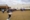 Image of an event in Bowls NSW