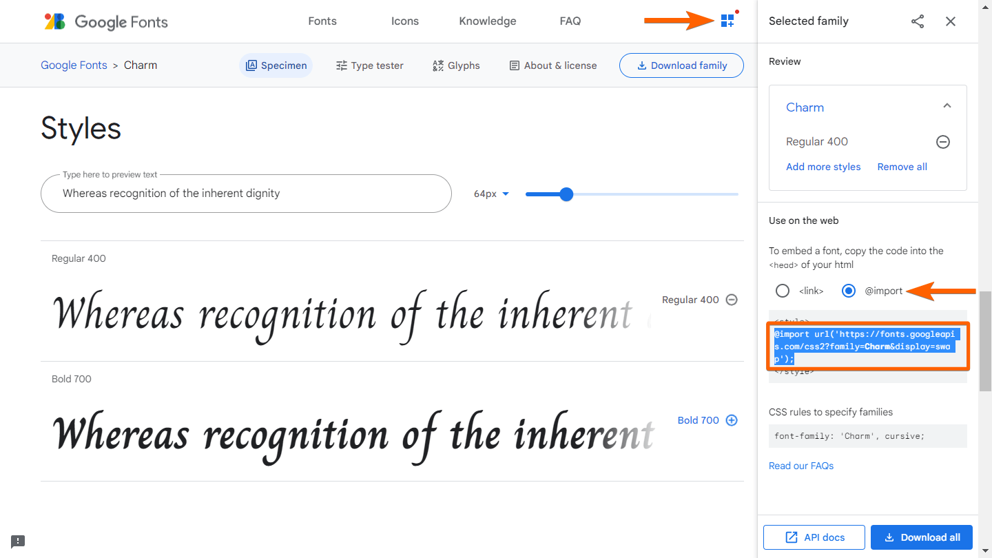 Google Fonts interface showing the Styles menu with an arrow pointing to the Grid icon and import button, along with a highlighted box around the code inside the style tag section