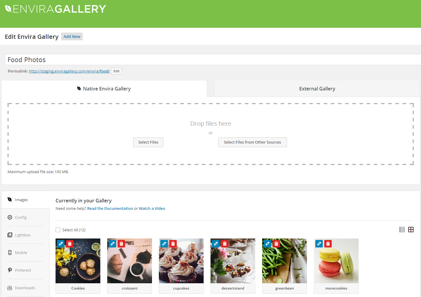 Benutzeroberfläche von Envira Photo Gallery