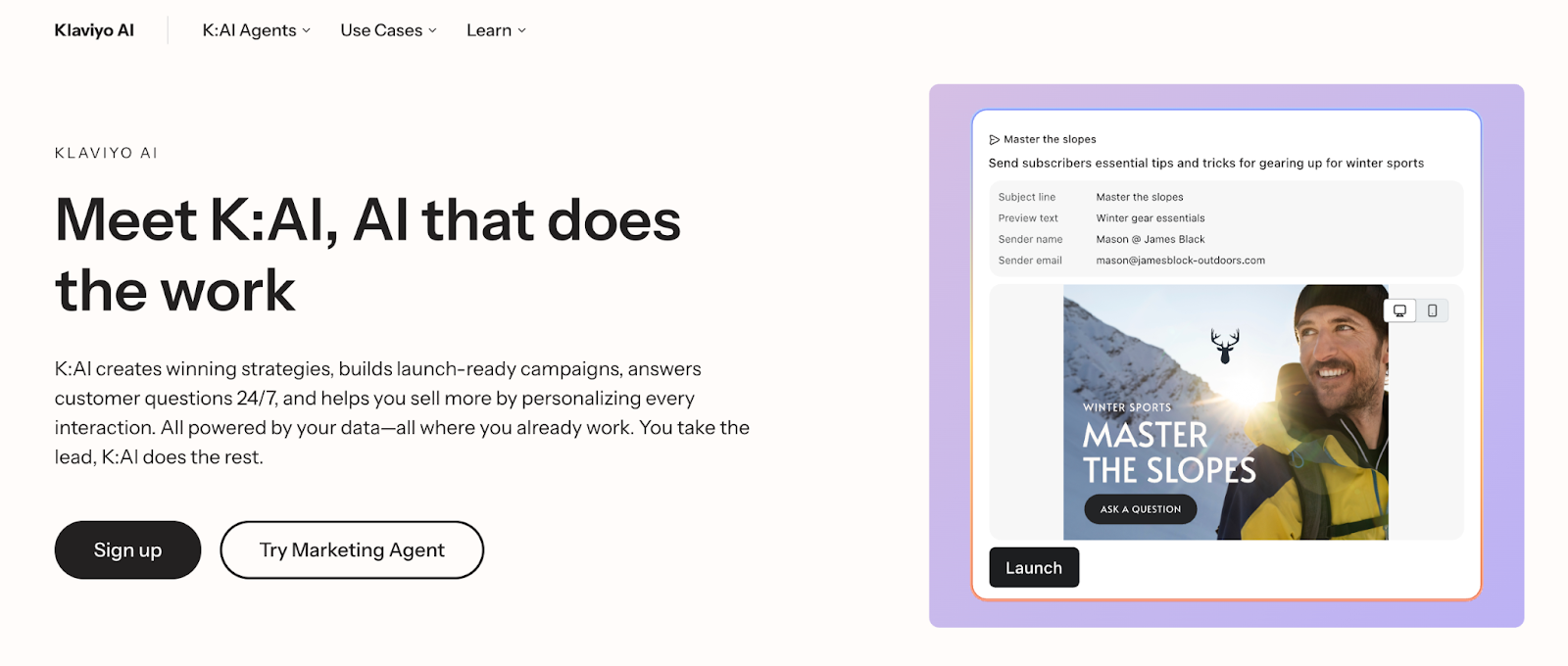 screenshot of Klaviye AI website homepage saying meet K:AI, AI that does the work