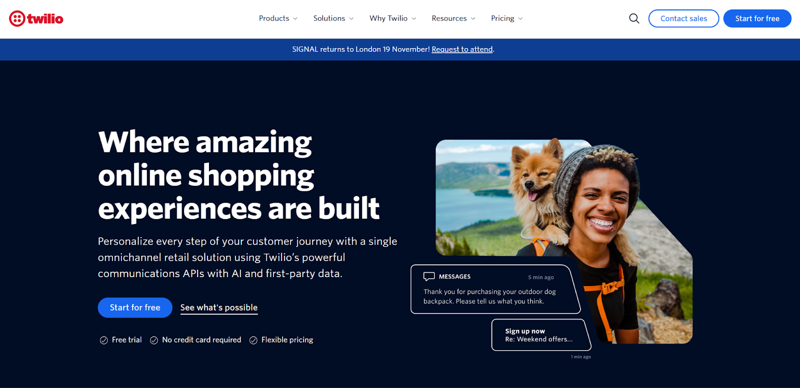 Screenshot of Twilio landing page