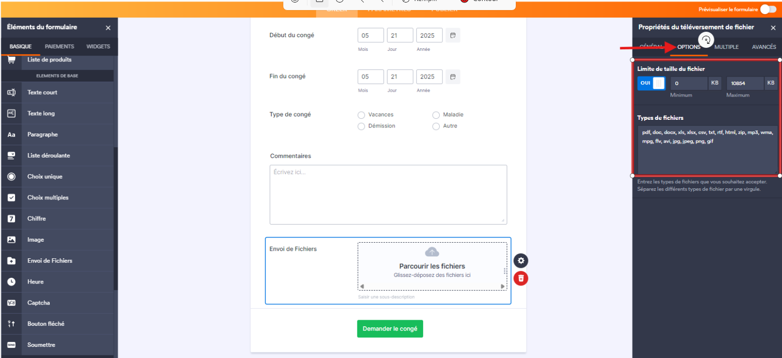 Panneau des Propriétés avec une flèche pointant vers l’onglet Options et les types de fichiers autorisés dans une liste
