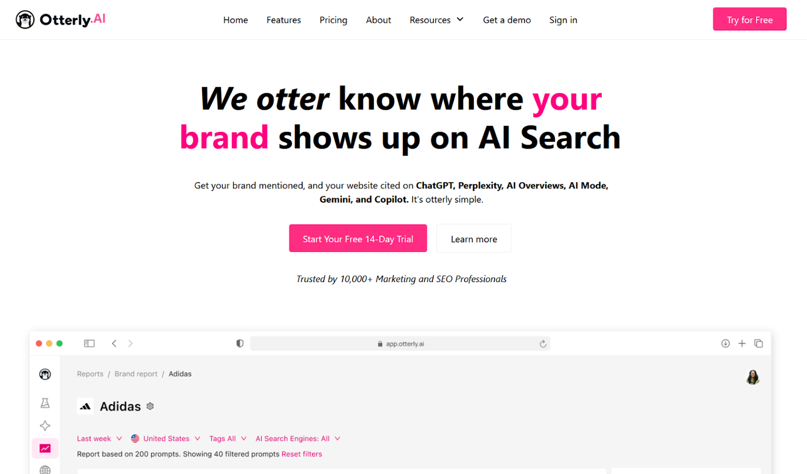 Screenshot of Otterly