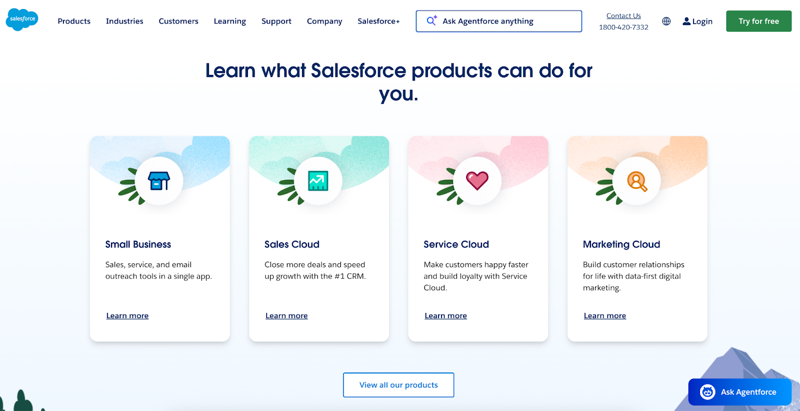Screenshot of Salesforce landing page