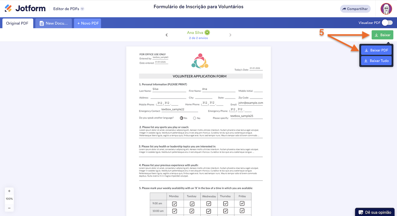 Opções de Download