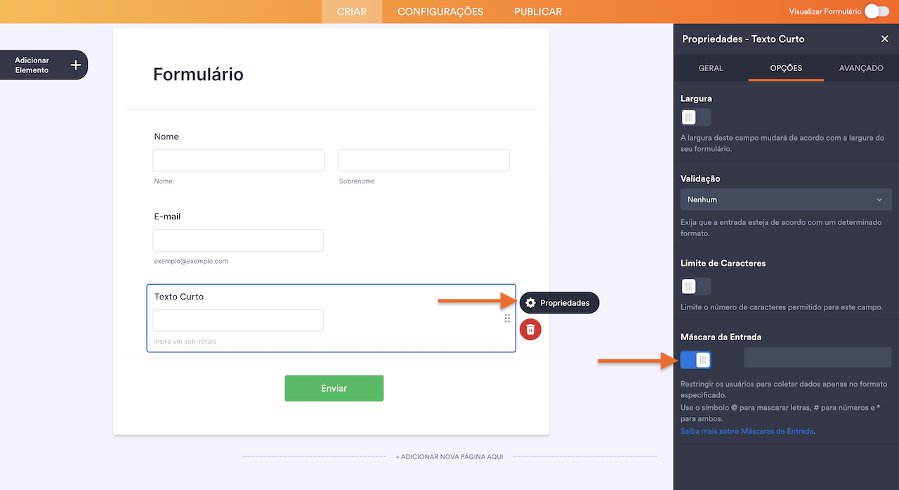 Ativando a Máscara de Entrada