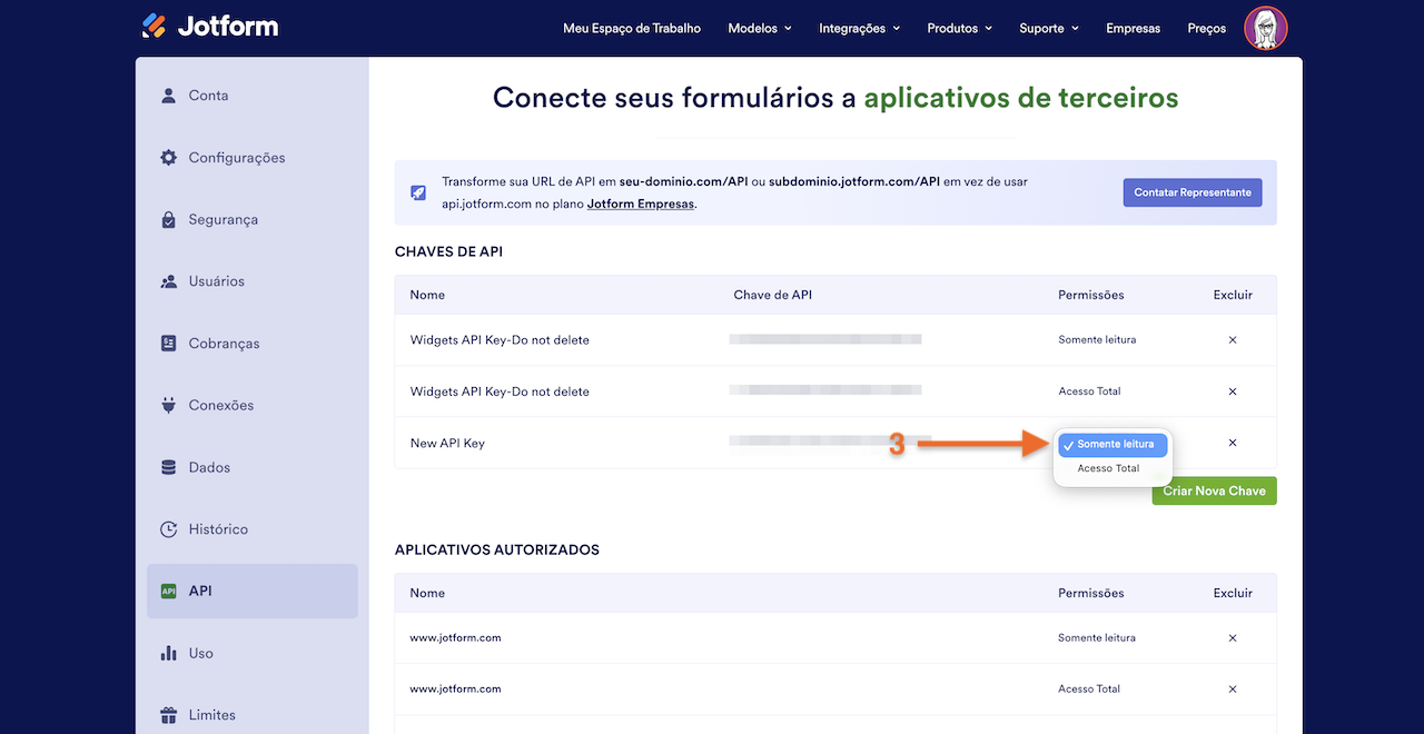 Alterando Tipo de Acesso da Chave de API