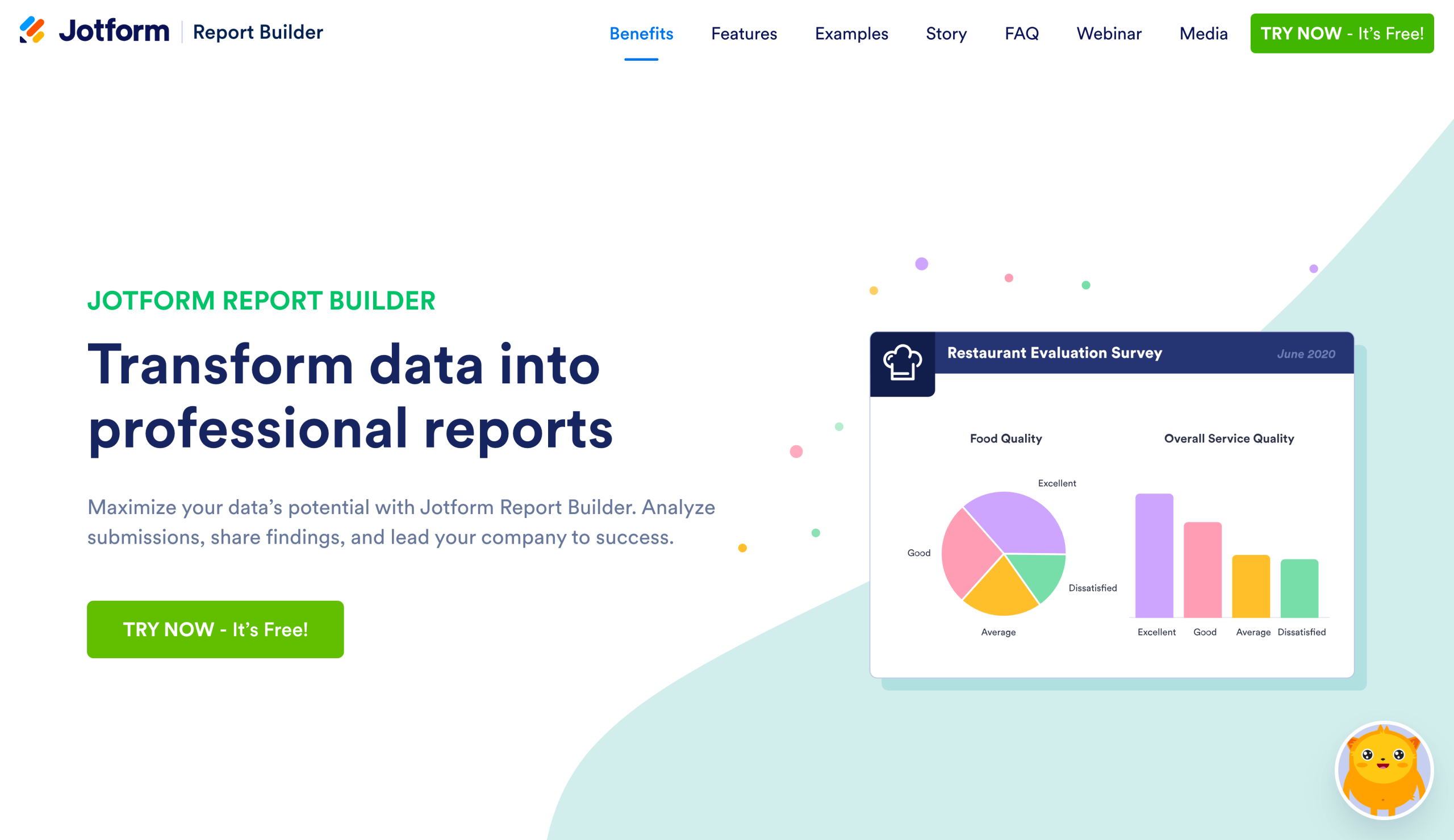 Screenshot of Jotform Report Builder landing page, showing a headline "Transform data into professional reports"