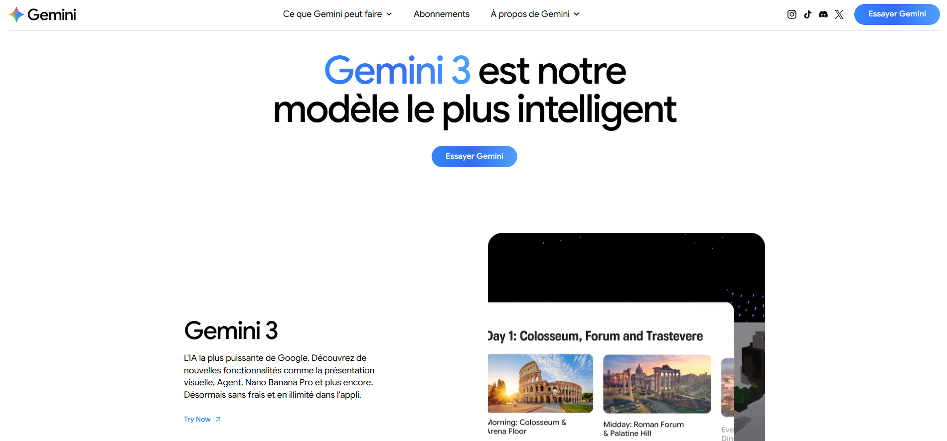 Capture d'écran de la page d'accueil Google Gemini