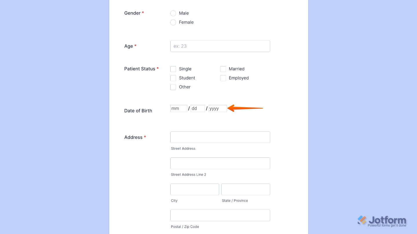 Form preview showing Fixed Format widget enforcing a specific input format like phone number or date