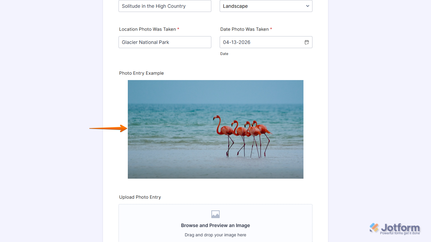 Flickr Widget on a Jotform form