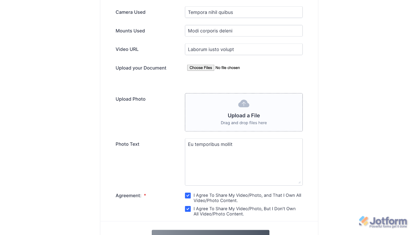 Form with the Transloadit widget added, allowing users to upload and process files seamlessly