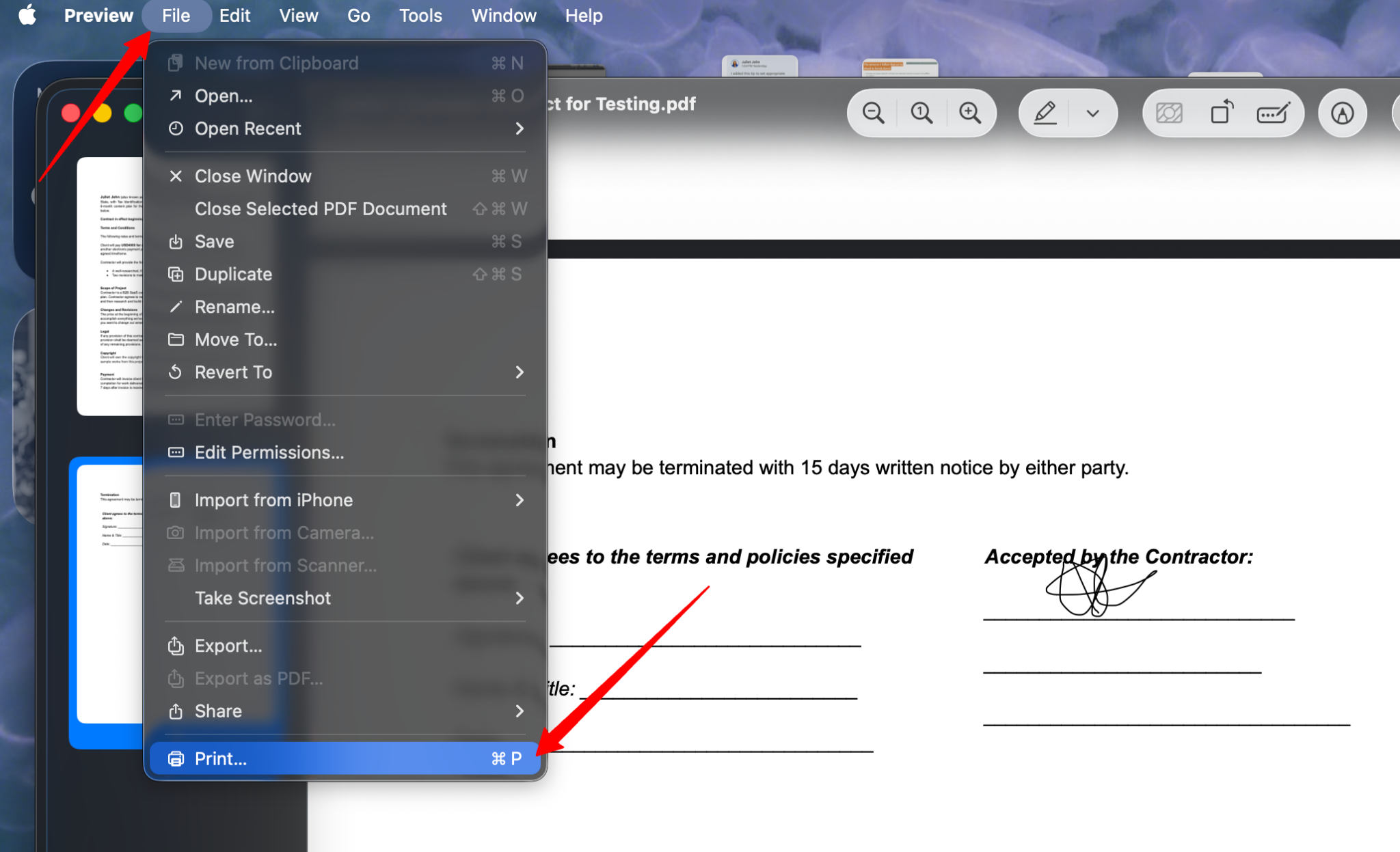 PDF document with arrows pointing to "File" in the top menu bar and "Print" from the list of options